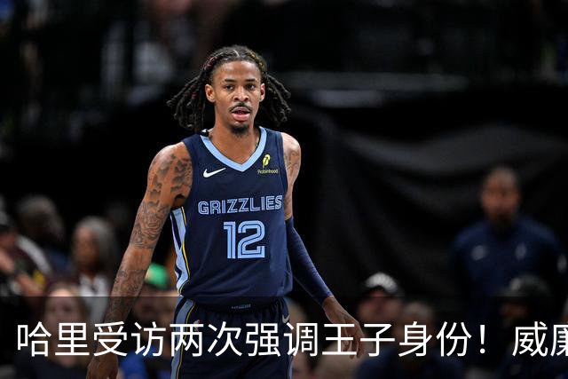 哈里受访两次强调王子身份！威廉被问称呼，却只说怎么合适怎么来