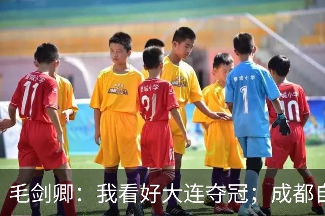 毛剑卿：我看好大连夺冠；成都自己给信心踢没了，气数已定
