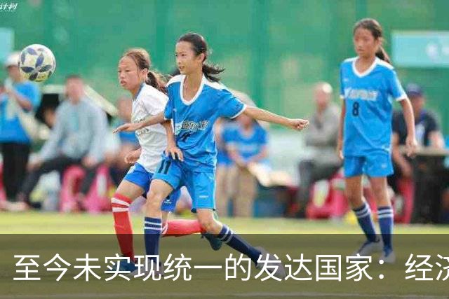 至今未实现统一的发达国家：经济富裕，但17%的土地还被邻国占领